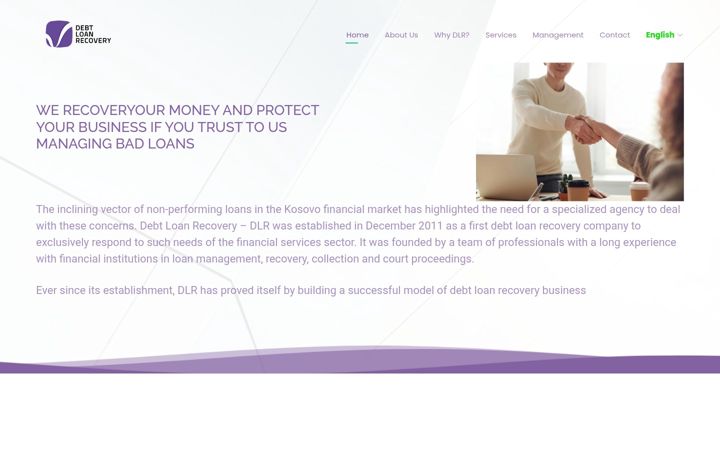 Screenshot of dlrcollection.com
