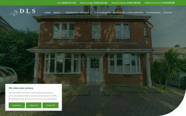 Kuvakaappaus sivustosta dlservices.co