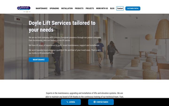 Screenshot of dlslifts.ie