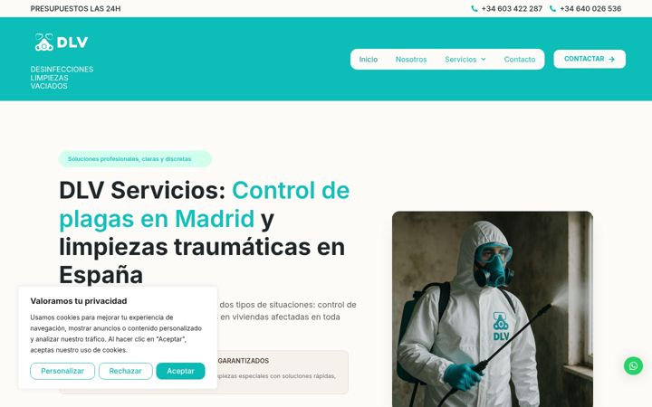 Skærmbillede af dlvservicios.net