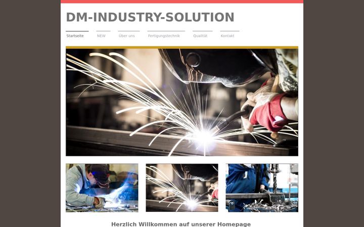 Screenshot of dm-industry-solution.de