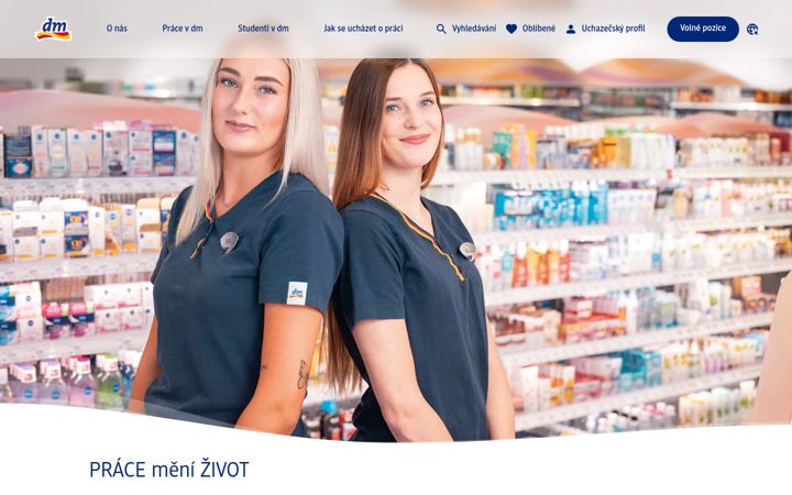 Screenshot of dm-jobs.cz