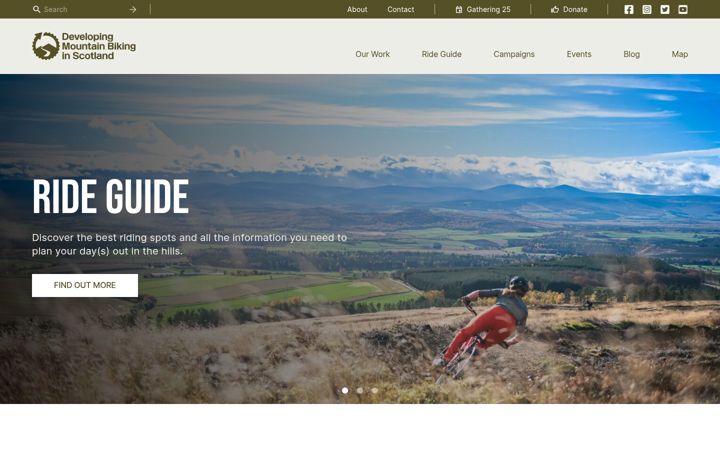 Screenshot of dmbins.com