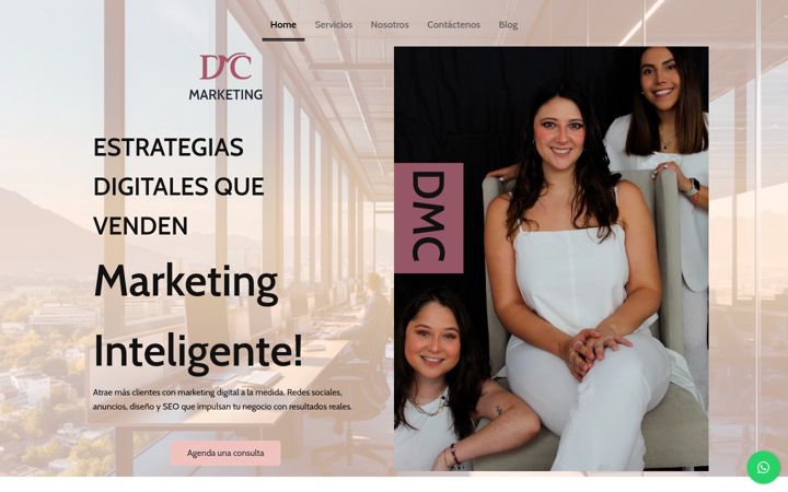 Screenshot of dmcmkt.com