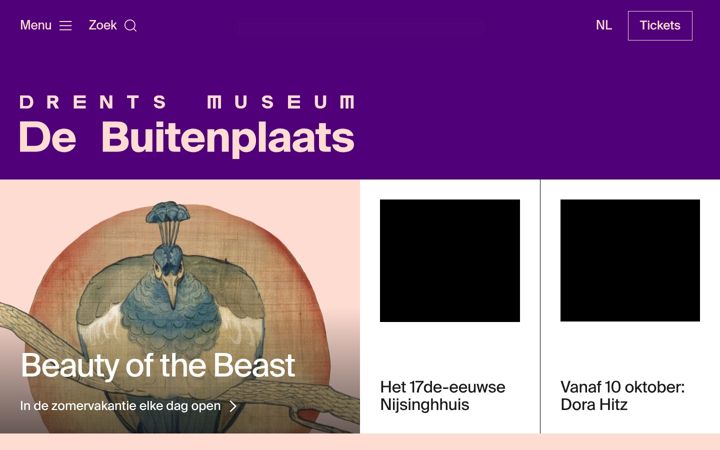Snimka zaslona za dmdebuitenplaats.nl