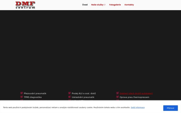 Screenshot of dmf-pneu.cz