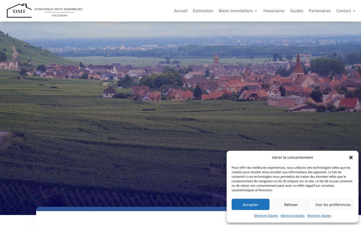 Captura de pantalla de dmi-solutions.fr