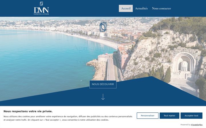 Captura de pantalla de dmn-expertise.fr