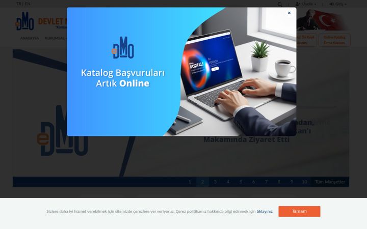 Screenshot of dmo.gov.tr