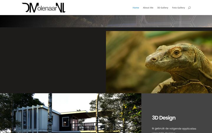 Screenshot of dmolenaar.nl