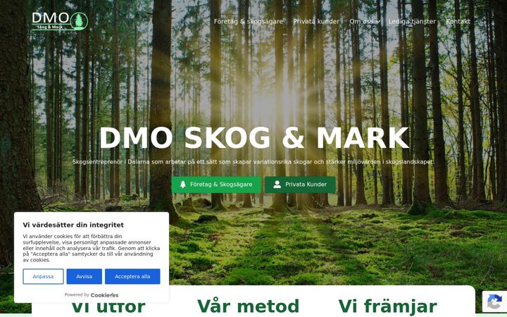 Screenshot of dmoskogomark.se