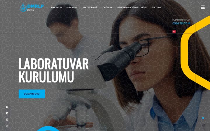 Screenshot of dmrlpkimya.com