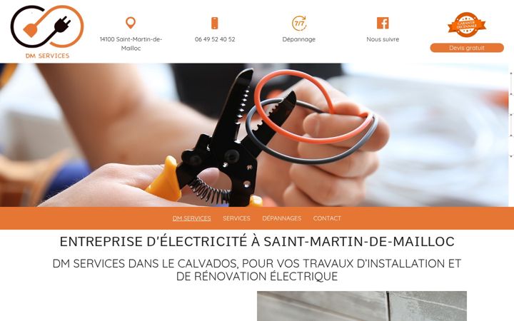 Screenshot of dmservices-elec.fr