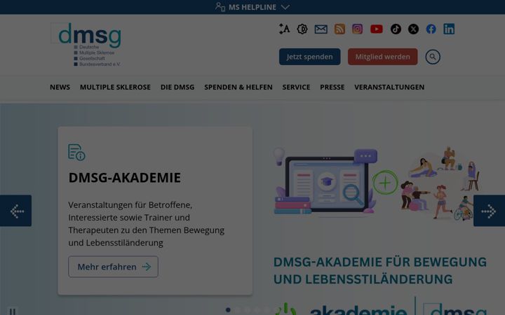Screenshot of dmsg.de