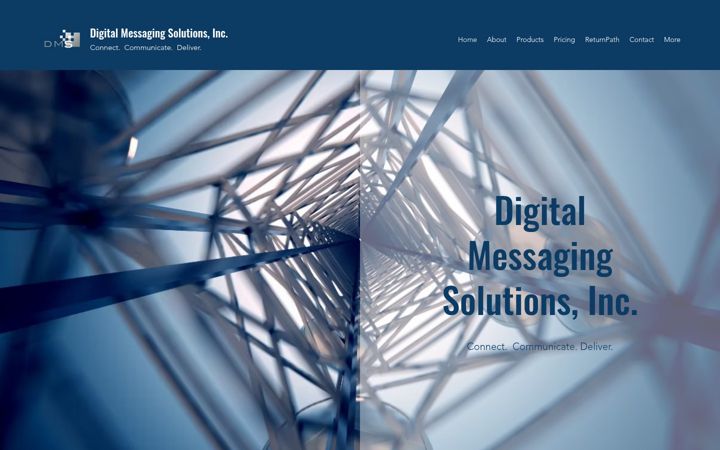 Screenshot of dmsgs.com