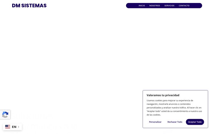 Screenshot of dmsistemas.es