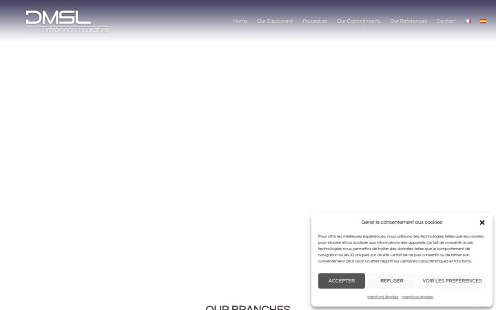 Screenshot of dmsl-caraibes.com