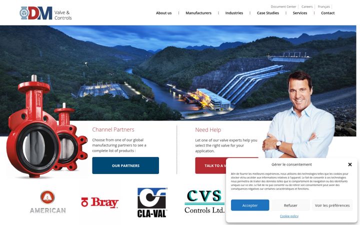 Screenshot of dmvalve.com