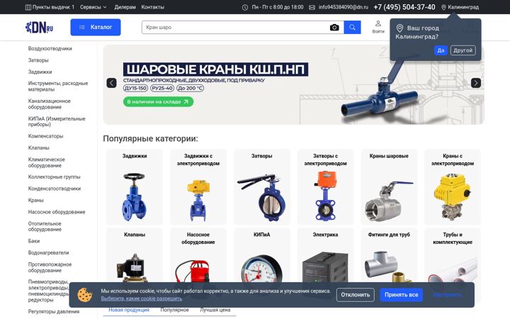 Snímek obrazovky dn.ru