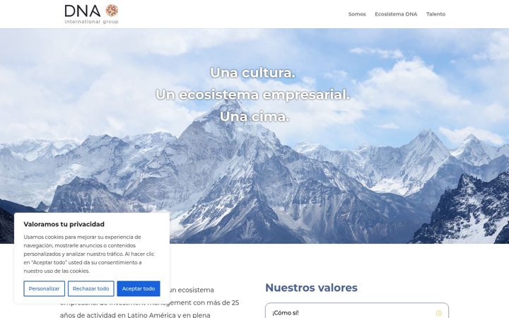 Screenshot of dnainternationalgroup.com