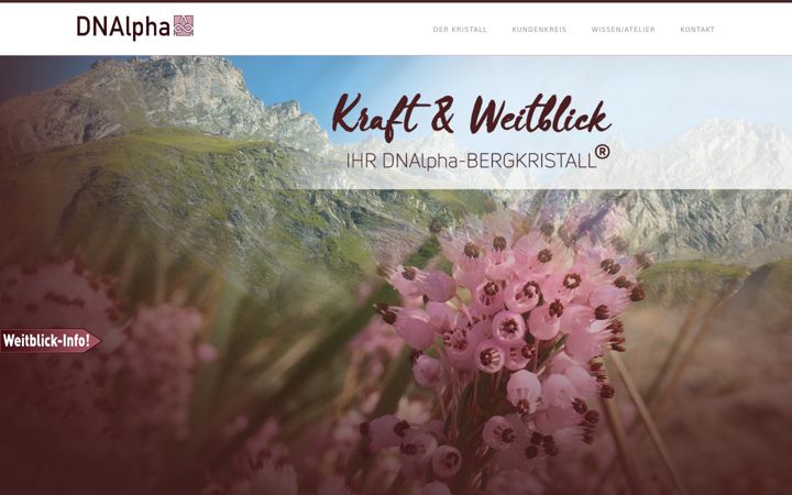 Screenshot of dnalpha.de