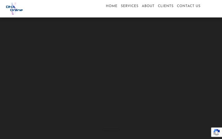 Screenshot of dnaonline.co.za