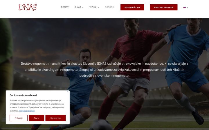 Screenshot of dnas-football.com