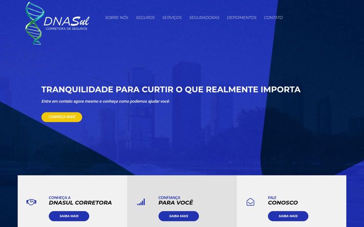 Screenshot of dnasul.com.br