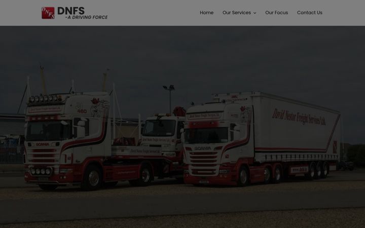 Screenshot ta' dnfs.ie
