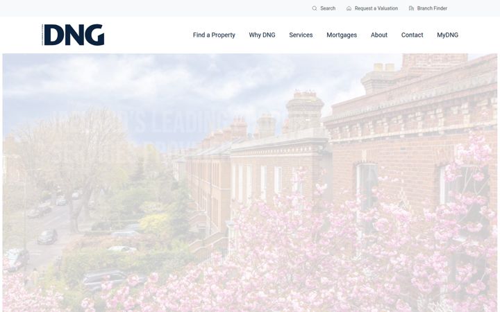 Screenshot of dng.ie