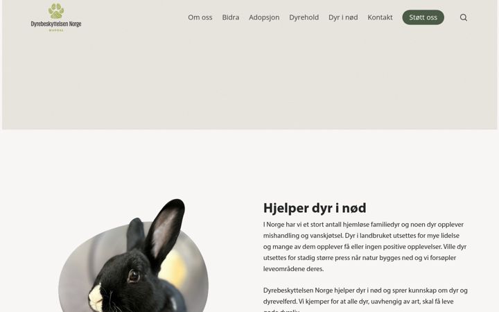 Skærmbillede af dnmandal.no