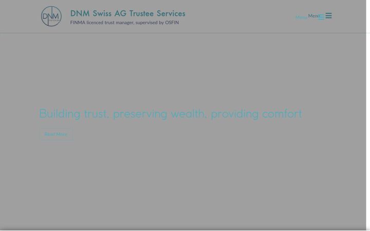 Screenshot of dnmswiss.com