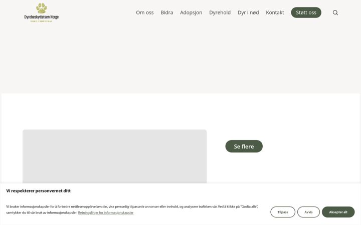 Skærmbillede af dnnt.no