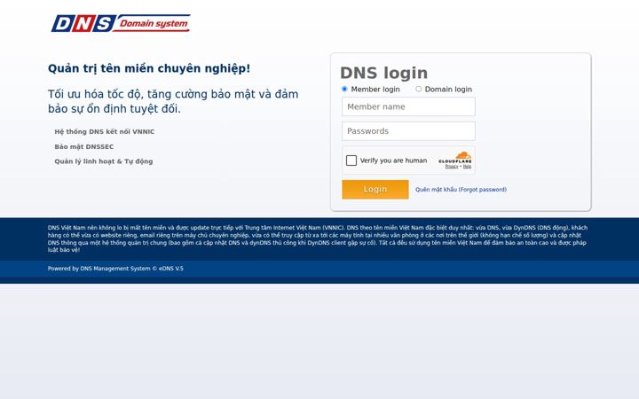 dns.net.vn