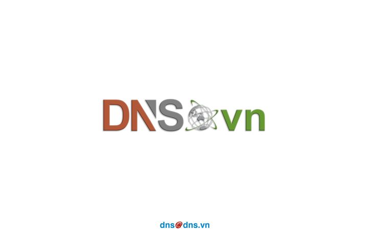 Screenshot of dns.vn