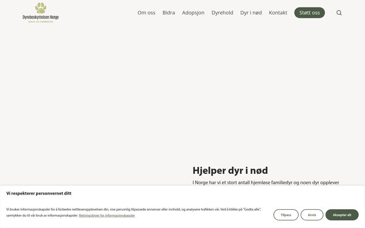 Skærmbillede af dnsfj.no