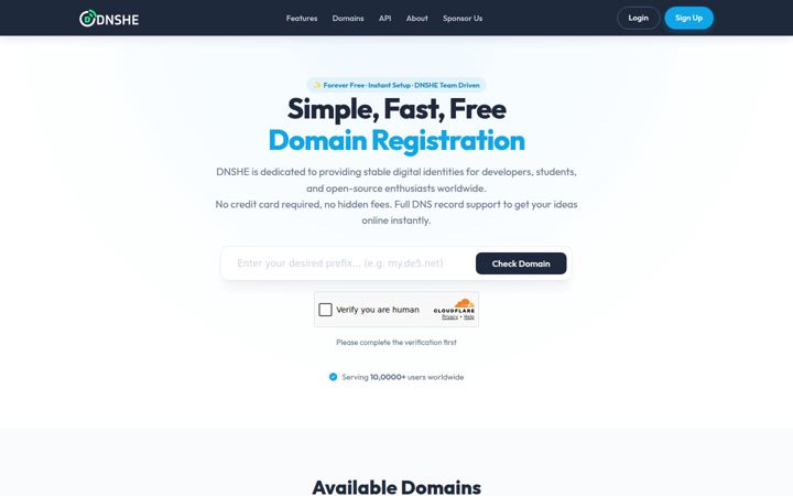 Zrzut ekranu dnshe.com