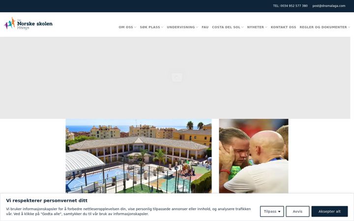 Screenshot of dnsmalaga.com