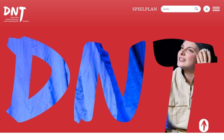 Screenshot of dnt-weimar.de