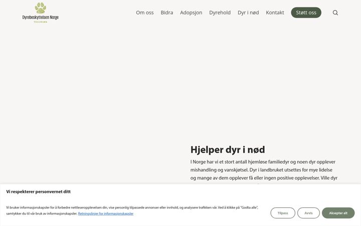 Skærmbillede af dntelemark.no