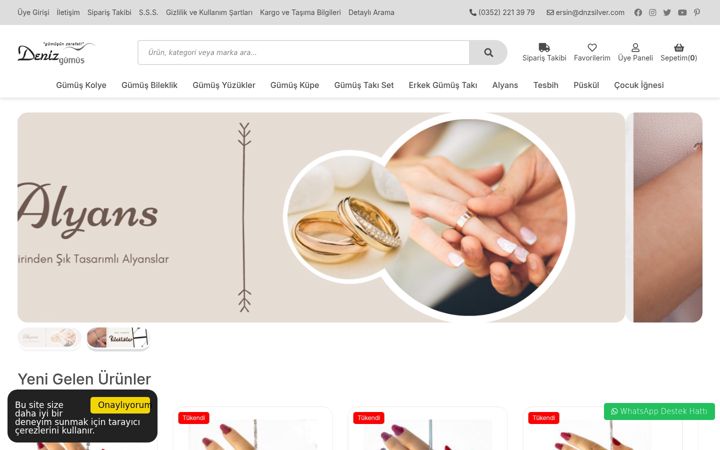 Screenshot of dnzsilver.com
