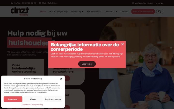 Screenshot of dnzt.nl