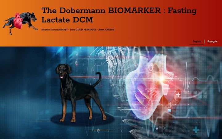 Screenshot of dobermann-biomarker-dcm.com