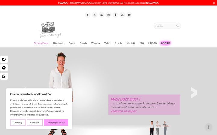 Screenshot of dobry-rozmiar.pl