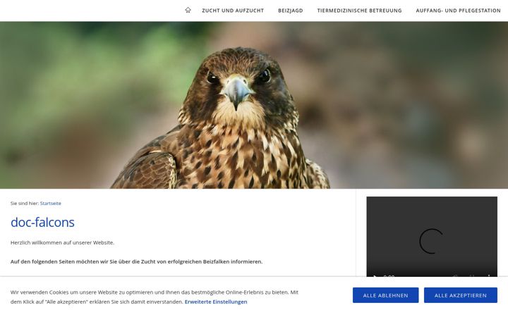 Screenshot of doc-falcons.de