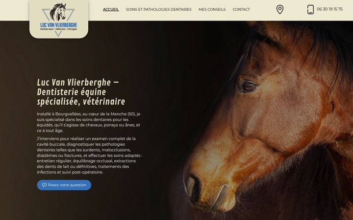 Zrzut ekranu doc-luc-dentiste-equin.fr