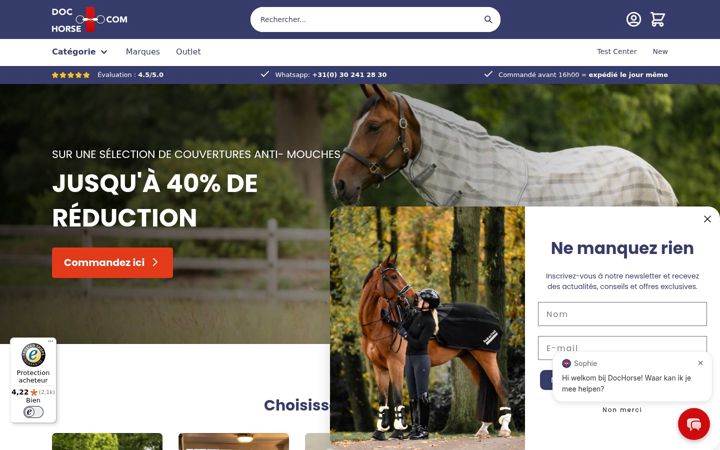 Screenshot of dochorse.fr