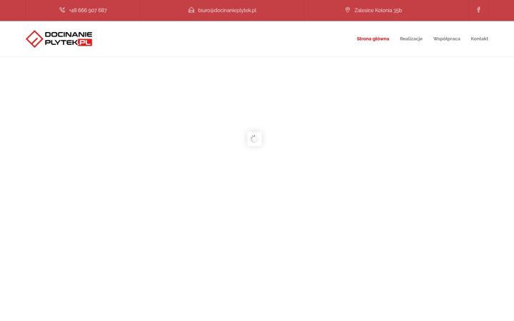 Screenshot van docinanieplytek.pl