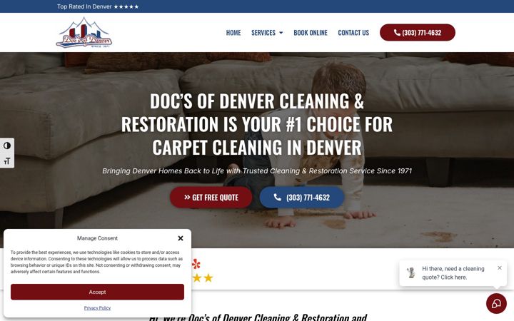 Screenshot of docsofdenver.com