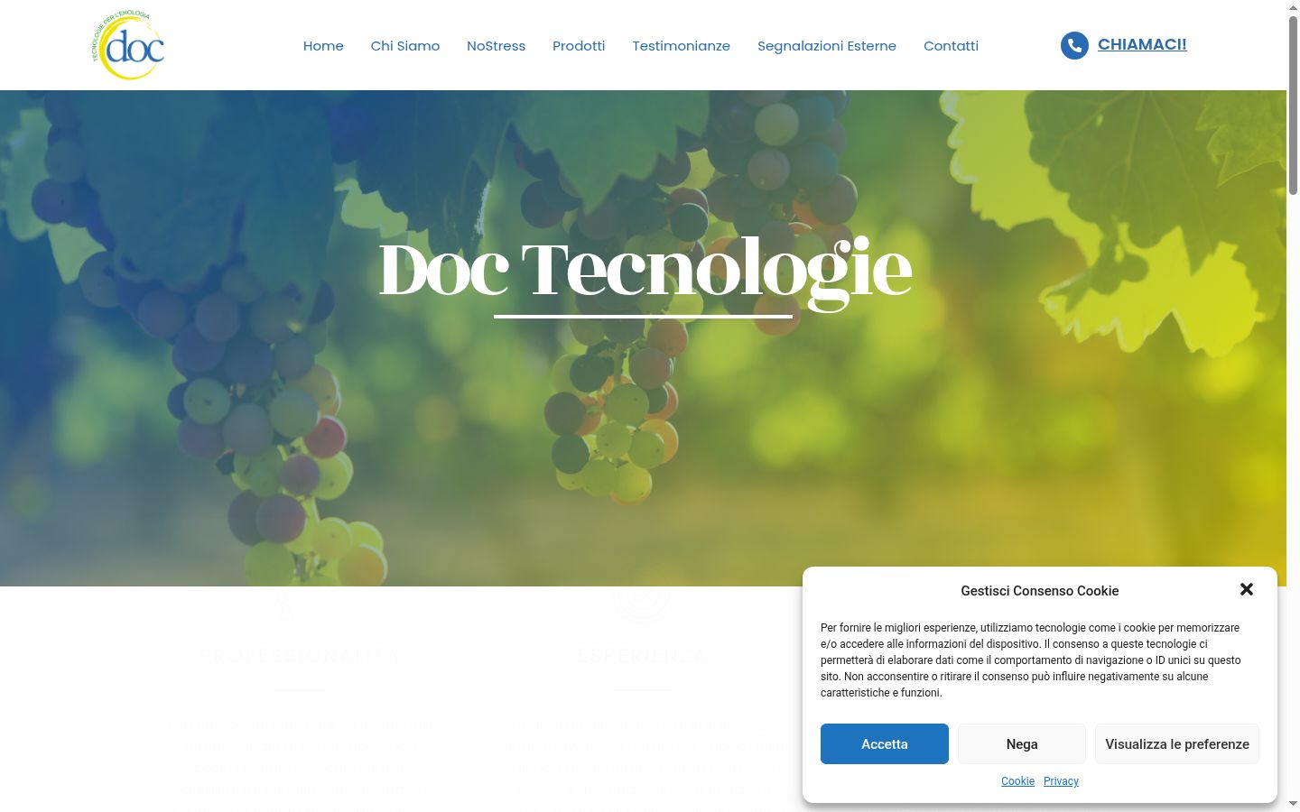 Screenshot del banner di consenso mostrato prima di qualsiasi interazione